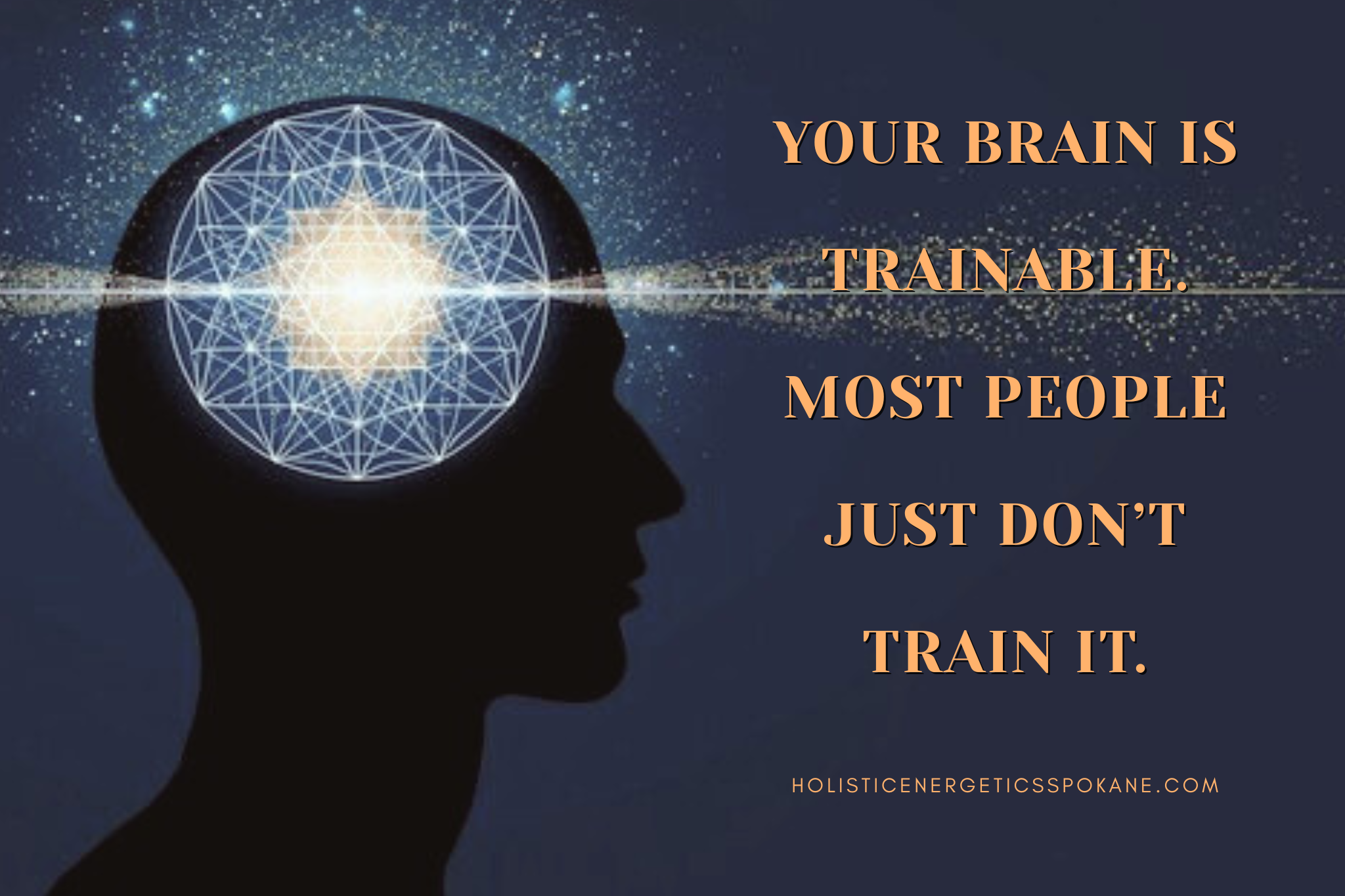 Most People Train Their Bodies. Very Few Train Their Brains.